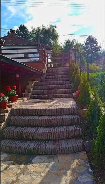 Apartmani Zapis Vrdnik Exteriér fotografie